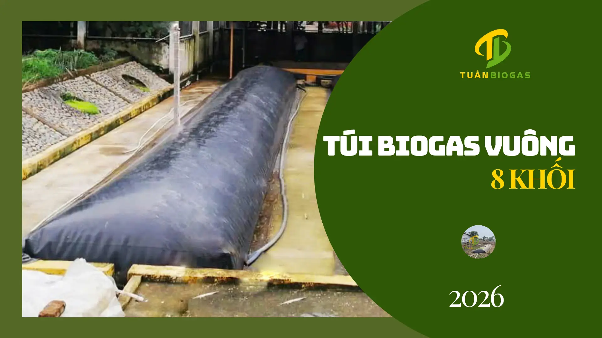 Túi Biogas Vuông 8 Khối Tuấn Biogas: Giải Pháp Xử Lý Chất Thải Chăn Nuôi Nông Hộ Toàn Diện, Sinh Khí Siêu Tốc
